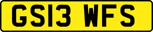 GS13WFS