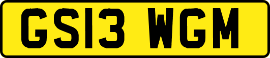 GS13WGM
