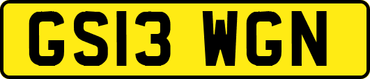 GS13WGN