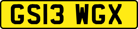 GS13WGX