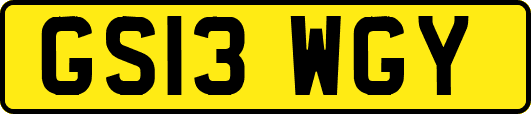 GS13WGY