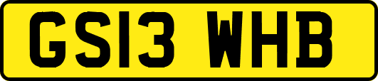 GS13WHB