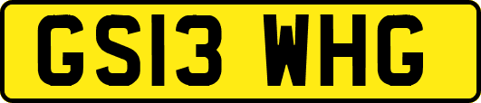 GS13WHG