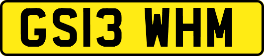 GS13WHM
