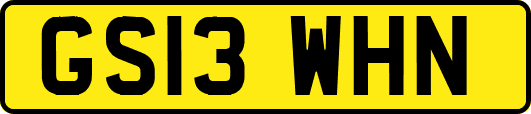 GS13WHN