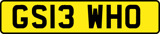 GS13WHO