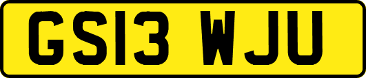 GS13WJU