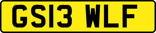GS13WLF