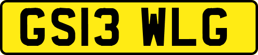 GS13WLG
