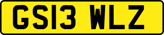 GS13WLZ