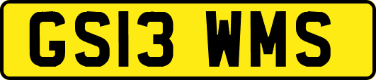 GS13WMS