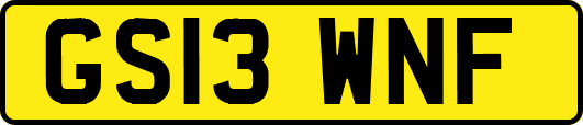 GS13WNF