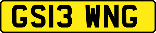 GS13WNG