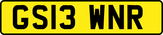 GS13WNR