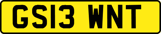 GS13WNT