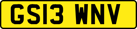 GS13WNV