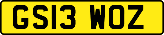 GS13WOZ