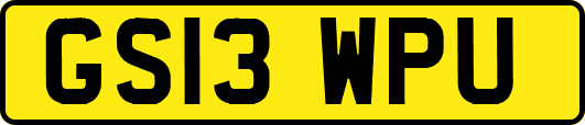 GS13WPU