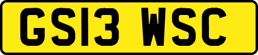 GS13WSC