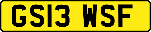 GS13WSF