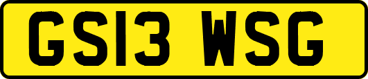 GS13WSG