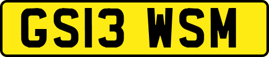 GS13WSM