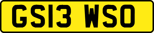 GS13WSO
