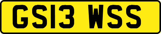 GS13WSS