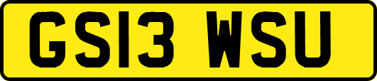 GS13WSU