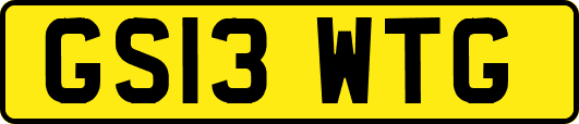 GS13WTG