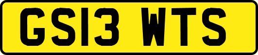 GS13WTS