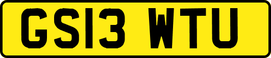 GS13WTU