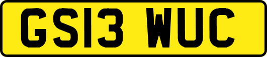 GS13WUC