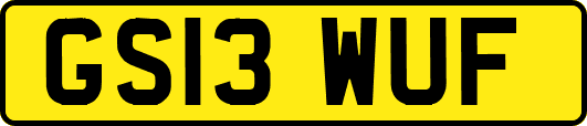 GS13WUF