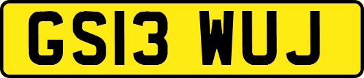 GS13WUJ