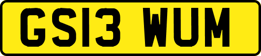 GS13WUM