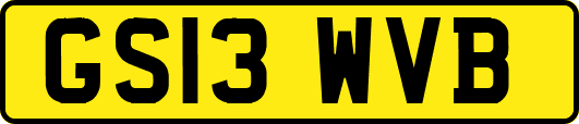 GS13WVB