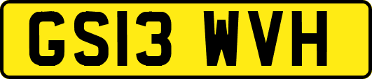 GS13WVH