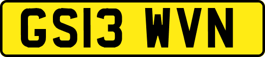 GS13WVN