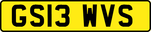 GS13WVS