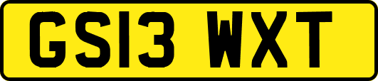 GS13WXT