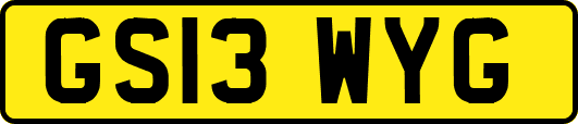 GS13WYG