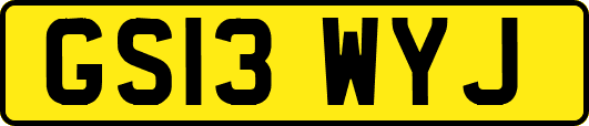 GS13WYJ