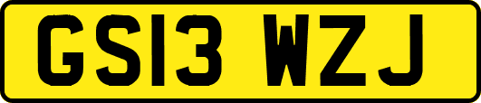 GS13WZJ