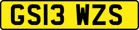 GS13WZS
