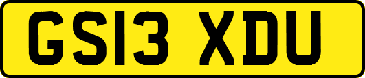 GS13XDU
