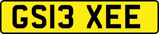 GS13XEE