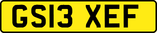 GS13XEF