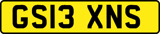GS13XNS