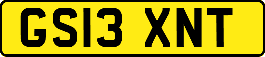 GS13XNT